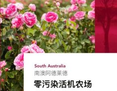 澳洲高端美妝品牌Jurlique茱莉蔻，成功入駐圣悅詩國際連鎖系統(tǒng)